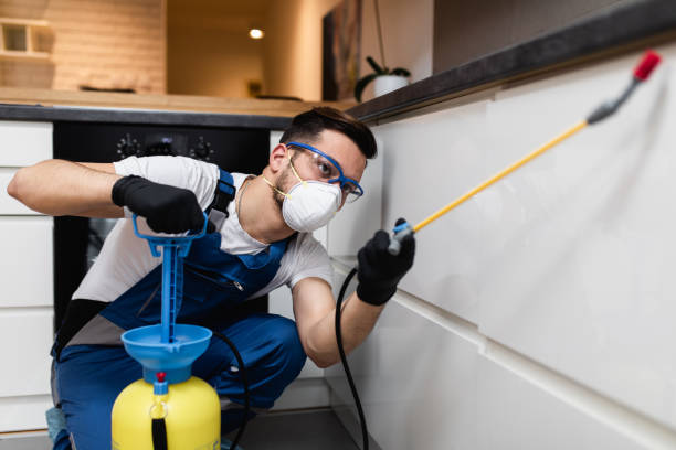 Best Rat Extermination Near Me  in Benton Park, CA