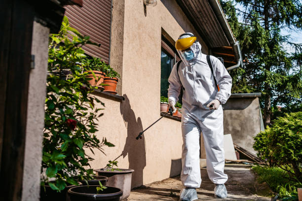 Reliable Benton Park, CA Pest Control Solutions