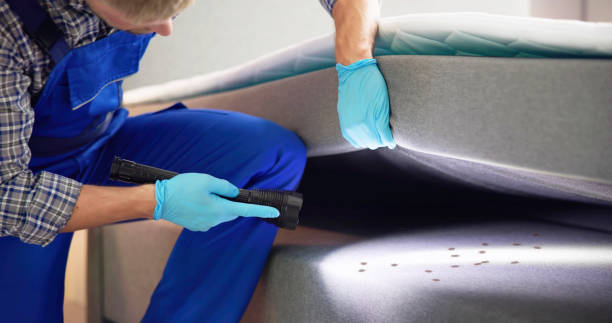 Best Cockroach Control Services  in Benton Park, CA