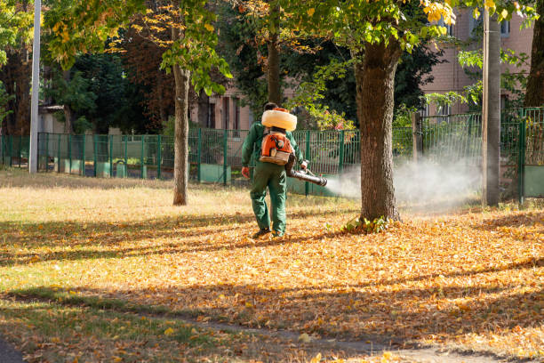 Best Pest Prevention Services  in Benton Park, CA