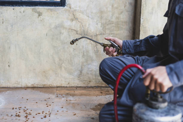 Best Pest Control for Businesses  in Benton Park, CA